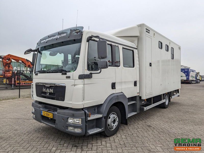 MAN TGL 12.180 4x2 DoKa 7 pers. Euro5 EEV - Paardenwagen 2-Paards - 147.000km! - MARGE - Φορτηγό μεταφοράς αλόγων: φωτογραφία 3 MAN TGL 12.180 4x2 DoKa 7 pers. Euro5 EEV - Paardenwagen 2-Paards - 147.000km! - MARGE - Φορτηγό μεταφοράς αλόγων: φωτογραφία 3