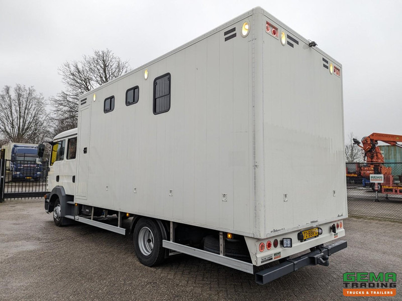 MAN TGL 12.180 4x2 DoKa 7 pers. Euro5 EEV - Paardenwagen 2-Paards - 147.000km! - MARGE - Φορτηγό μεταφοράς αλόγων: φωτογραφία 4 MAN TGL 12.180 4x2 DoKa 7 pers. Euro5 EEV - Paardenwagen 2-Paards - 147.000km! - MARGE - Φορτηγό μεταφοράς αλόγων: φωτογραφία 4