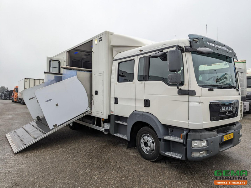MAN TGL 12.180 4x2 DoKa 7 pers. Euro5 EEV - Paardenwagen 2-Paards - 147.000km! - MARGE - Φορτηγό μεταφοράς αλόγων: φωτογραφία 1 MAN TGL 12.180 4x2 DoKa 7 pers. Euro5 EEV - Paardenwagen 2-Paards - 147.000km! - MARGE - Φορτηγό μεταφοράς αλόγων: φωτογραφία 1