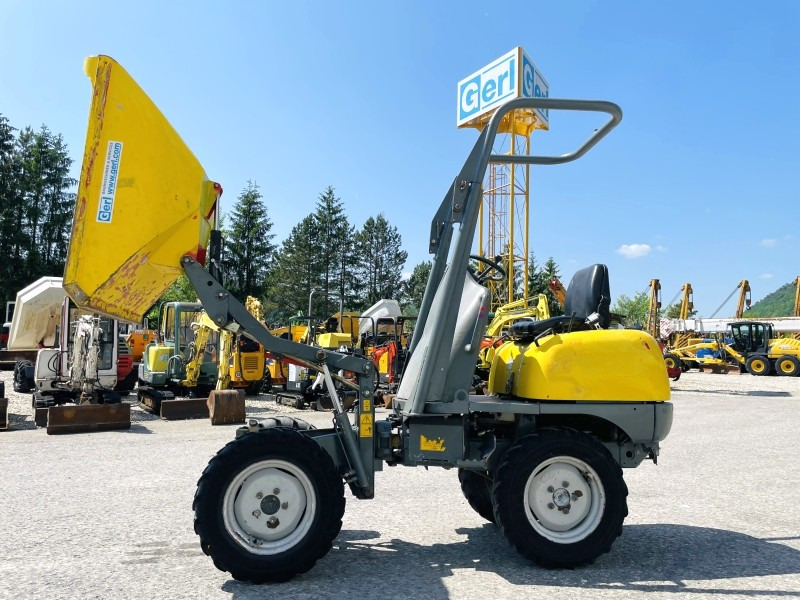 Neuson 1001 (3631) - Μίνι ανατρεπόμενο: φωτογραφία 2 Neuson 1001 (3631) - Μίνι ανατρεπόμενο: φωτογραφία 2