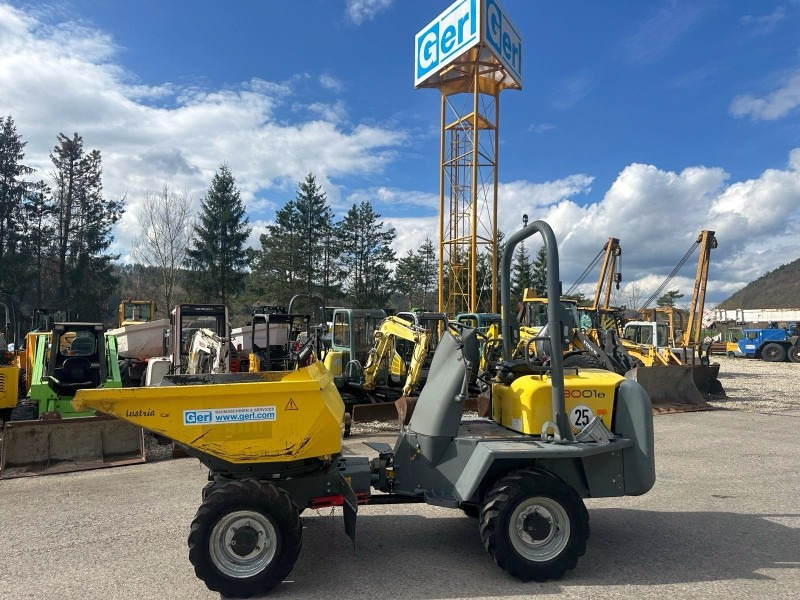 Neuson 3001 (3861) - Μίνι ανατρεπόμενο: φωτογραφία 1 Neuson 3001 (3861) - Μίνι ανατρεπόμενο: φωτογραφία 1