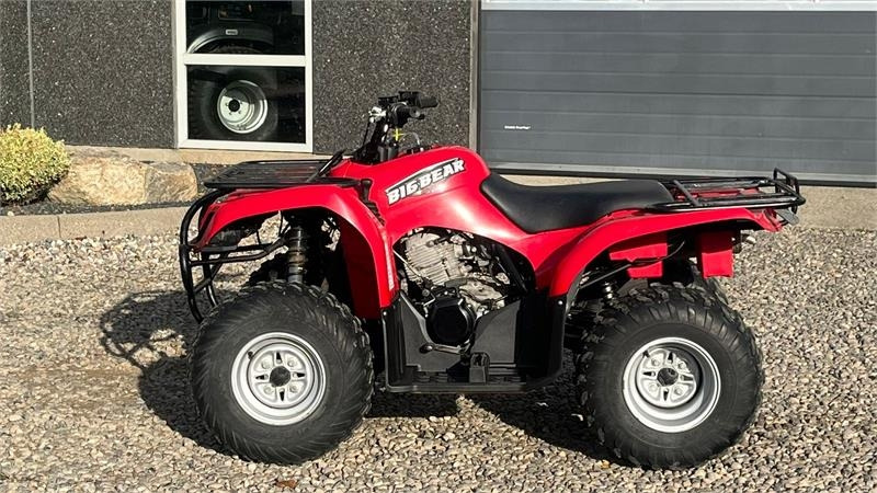 Yamaha Big bear 250 - Τετράκλινα: φωτογραφία 5 Yamaha Big bear 250 - Τετράκλινα: φωτογραφία 5