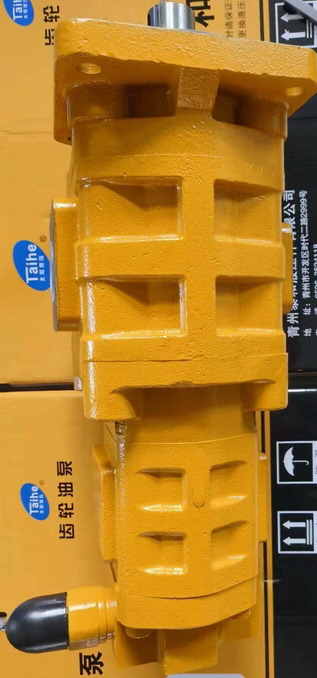 Qingdao Promising Hydraulic Double Gear Pumps Fit China Loader - Υδραυλική αντλία για Ελαστιχοφόρος φορτωτής: φωτογραφία 4 Qingdao Promising Hydraulic Double Gear Pumps Fit China Loader - Υδραυλική αντλία για Ελαστιχοφόρος φορτωτής: φωτογραφία 4