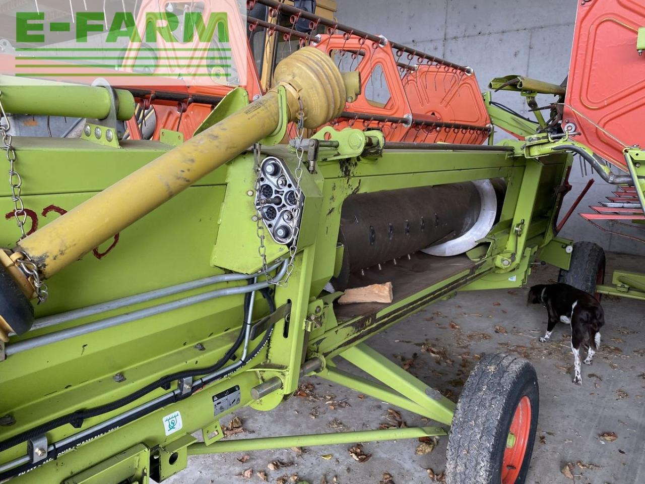 CLAAS c 430 - Θεριζοαλωνιστική μηχανή - κεφαλή: φωτογραφία 4 CLAAS c 430 - Θεριζοαλωνιστική μηχανή - κεφαλή: φωτογραφία 4