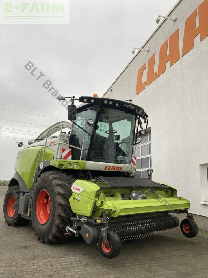 Ενσιρωτική μηχανή CLAAS jaguar 980: φωτογραφία 11