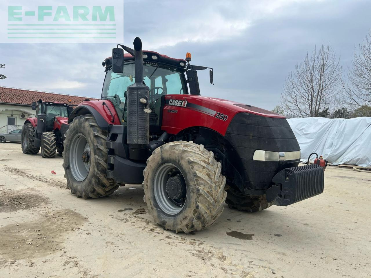 Case-IH Magnum 250 - Τρακτέρ: φωτογραφία 4 Case-IH Magnum 250 - Τρακτέρ: φωτογραφία 4