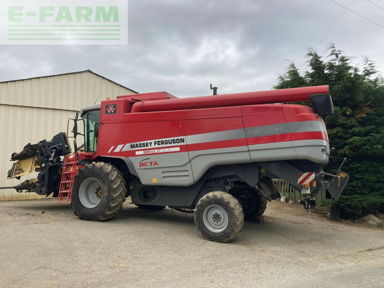 Massey Ferguson 7270 - Θεριζοαλωνιστική μηχανή: φωτογραφία 2 Massey Ferguson 7270 - Θεριζοαλωνιστική μηχανή: φωτογραφία 2