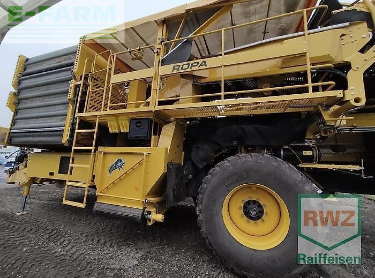 Ropa keiler ii classic - Πατατοεξαγωγέας: φωτογραφία 4 Ropa keiler ii classic - Πατατοεξαγωγέας: φωτογραφία 4