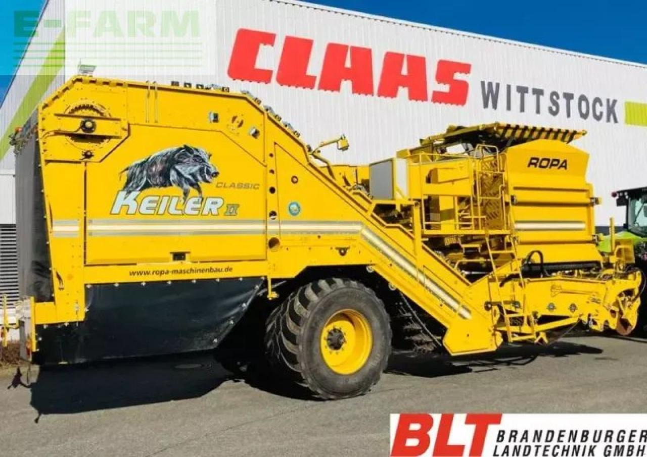 Ropa keiler ii classic - Πατατοεξαγωγέας: φωτογραφία 1 Ropa keiler ii classic - Πατατοεξαγωγέας: φωτογραφία 1