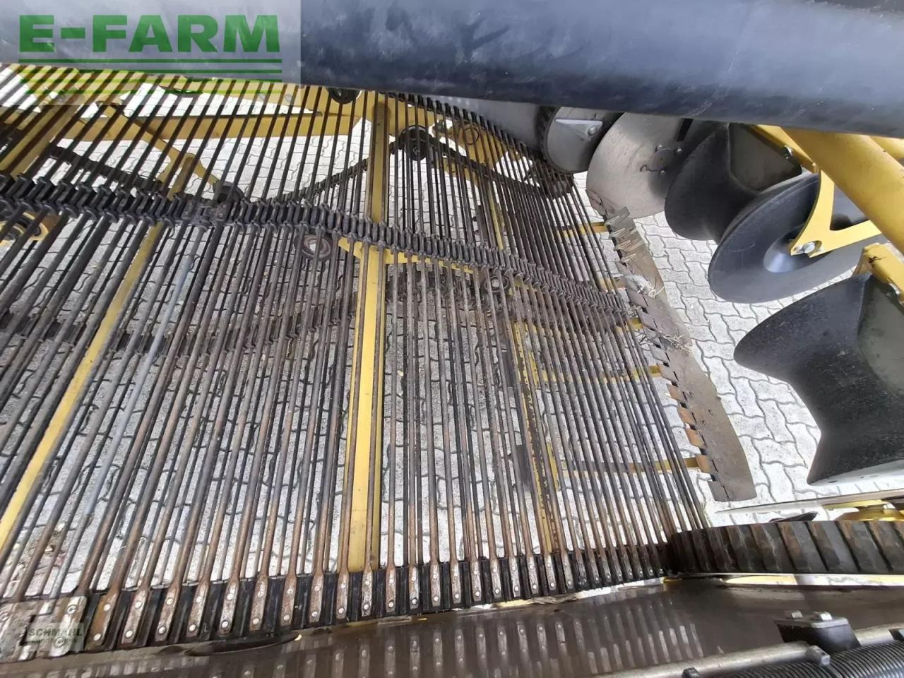 Ropa keiler ii - Πατατοεξαγωγέας: φωτογραφία 5 Ropa keiler ii - Πατατοεξαγωγέας: φωτογραφία 5