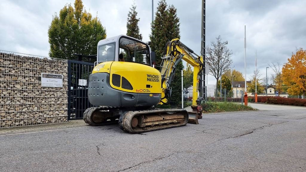 Wacker Neuson Minibagger 6003 RD, Verstellausl., MS08, Powertilt - Μίνι εκσκαφέας: φωτογραφία 5 Wacker Neuson Minibagger 6003 RD, Verstellausl., MS08, Powertilt - Μίνι εκσκαφέας: φωτογραφία 5
