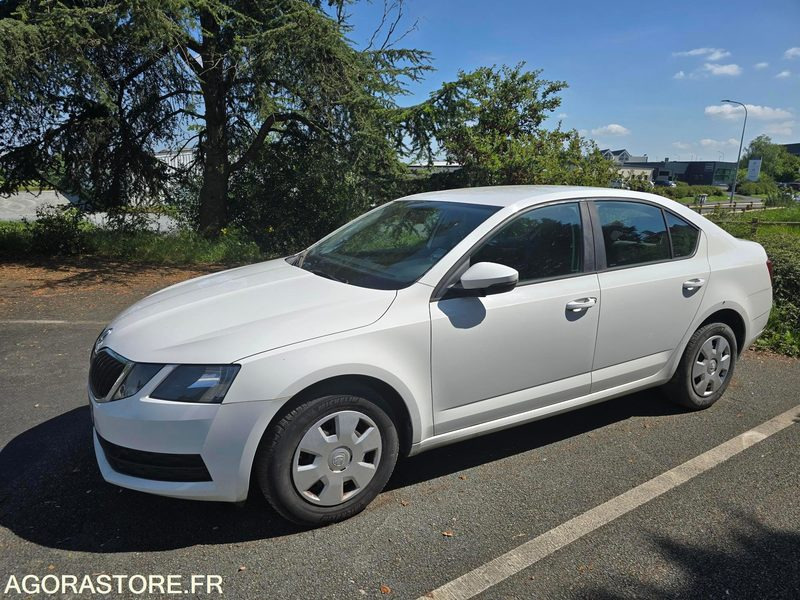 EL-119-BW - Non Roulant - SKODA OCTAVIA - CG INTEGRAL - 250 000 Kms - Αυτοκίνητο: φωτογραφία 1 EL-119-BW - Non Roulant - SKODA OCTAVIA - CG INTEGRAL - 250 000 Kms - Αυτοκίνητο: φωτογραφία 1
