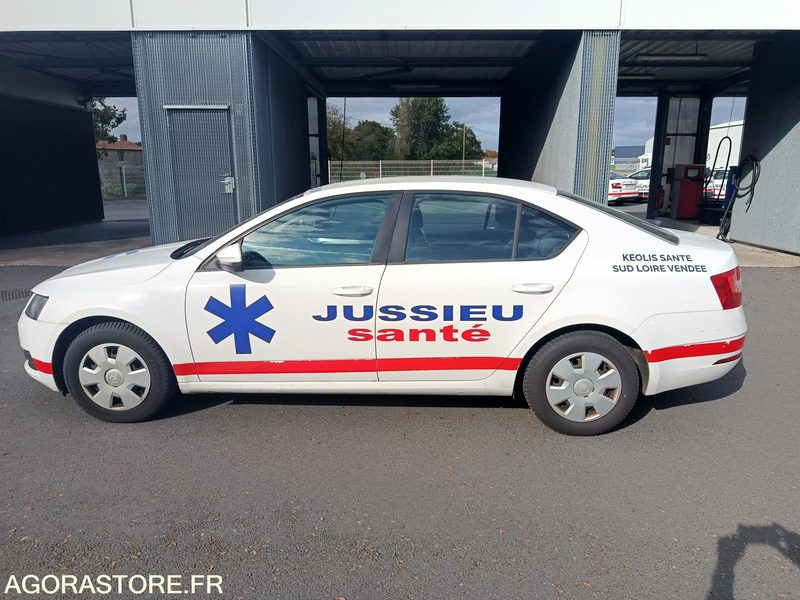 FB-732-ZZ - Non Roulant - SKODA OCTAVIA - VP - 309 757 Kms - Αυτοκίνητο: φωτογραφία 2 FB-732-ZZ - Non Roulant - SKODA OCTAVIA - VP - 309 757 Kms - Αυτοκίνητο: φωτογραφία 2