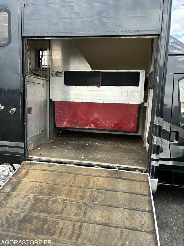 Fourgon FORD - Transport de 2 Chevaux - 2004 - 137 510 KM - Βαν: φωτογραφία 3 Fourgon FORD - Transport de 2 Chevaux - 2004 - 137 510 KM - Βαν: φωτογραφία 3