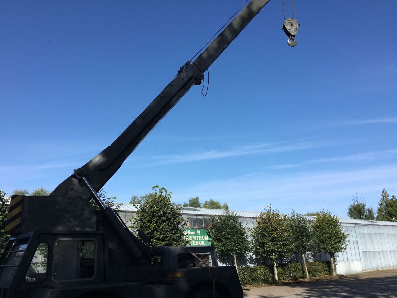 Grove Iron Fairy Saphire - Γερανός παντός εδάφους: φωτογραφία 4 Grove Iron Fairy Saphire - Γερανός παντός εδάφους: φωτογραφία 4