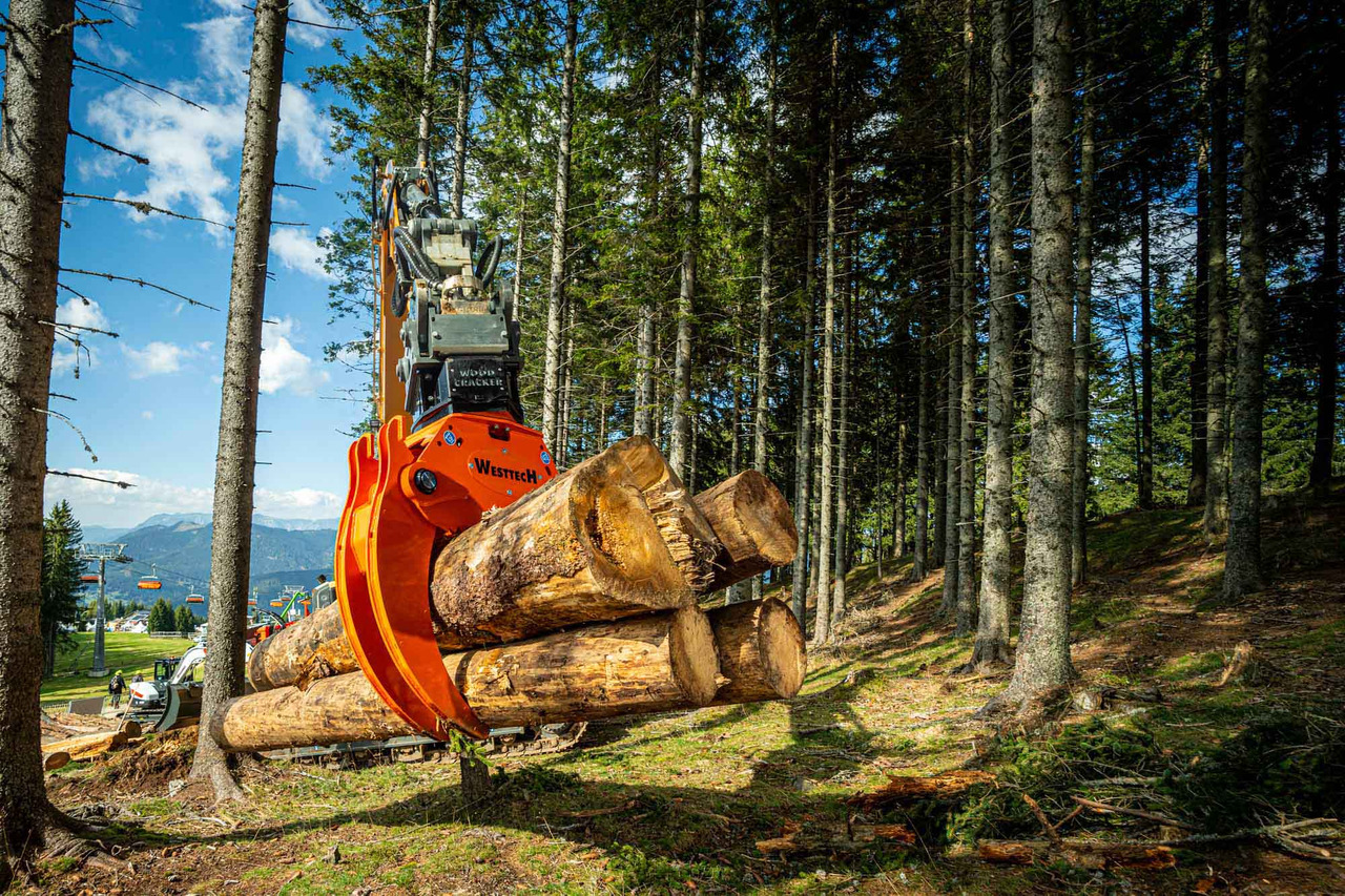 Westtech Woodgripper WG 1270 - Σφιγκτήρας για Κατασκευή μηχανήματα: φωτογραφία 3 Westtech Woodgripper WG 1270 - Σφιγκτήρας για Κατασκευή μηχανήματα: φωτογραφία 3