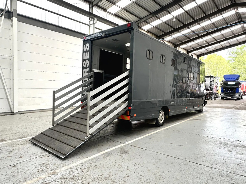 Mercedes-Benz 1117 MOBILE HOME / TRANSPORT DE CHEVAUX /HORSE TRUCK - Φορτηγό μεταφορά ζώων: φωτογραφία 5 Mercedes-Benz 1117 MOBILE HOME / TRANSPORT DE CHEVAUX /HORSE TRUCK - Φορτηγό μεταφορά ζώων: φωτογραφία 5