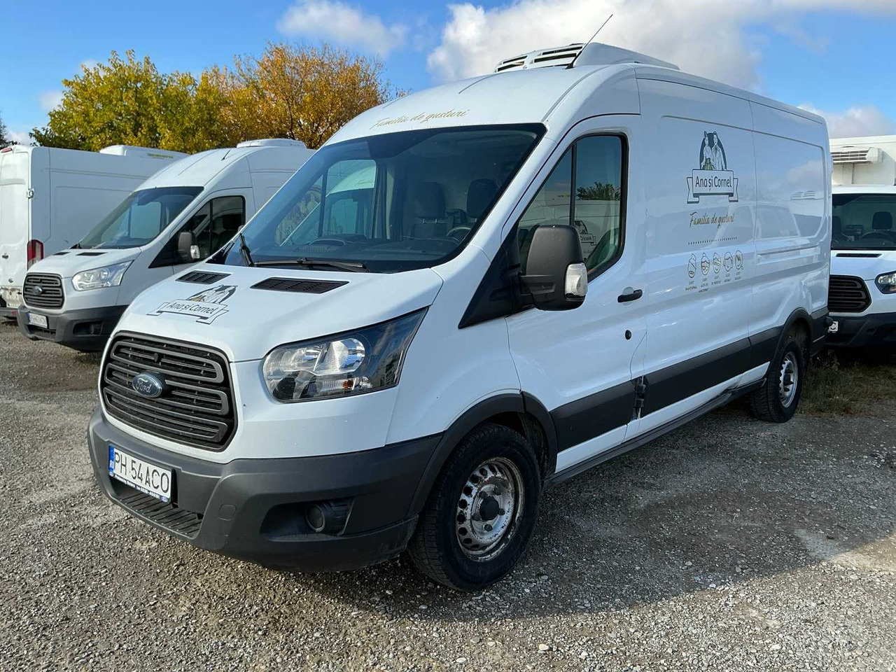 FORD TRANSIT VAN - Ελαφρύ επαγγελματικό: φωτογραφία 2 FORD TRANSIT VAN - Ελαφρύ επαγγελματικό: φωτογραφία 2