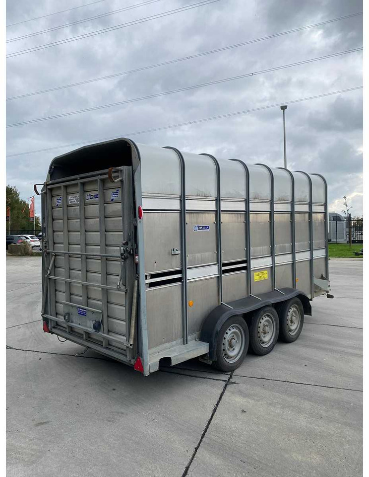 Ifor Williams TA510G14/3 7' L/R - Ρυμούλκα μεταφορά ζώων: φωτογραφία 5 Ifor Williams TA510G14/3 7' L/R - Ρυμούλκα μεταφορά ζώων: φωτογραφία 5