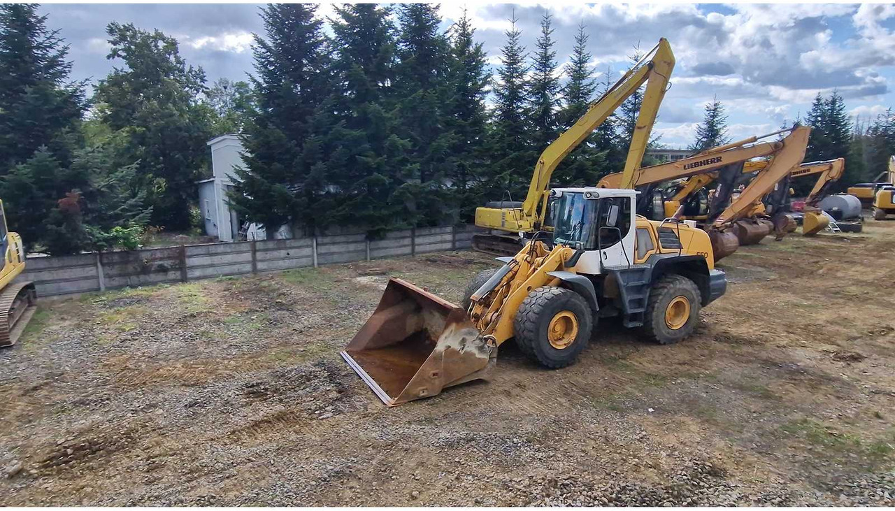 Liebherr L550 - Ελαστιχοφόρος φορτωτής: φωτογραφία 3 Liebherr L550 - Ελαστιχοφόρος φορτωτής: φωτογραφία 3