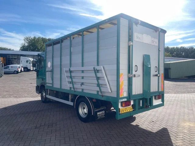 Iveco EuroCargo 65 BLADVERING / HANDGESCHAKELDE - Φορτηγό μεταφορά ζώων: φωτογραφία 5 Iveco EuroCargo 65 BLADVERING / HANDGESCHAKELDE - Φορτηγό μεταφορά ζώων: φωτογραφία 5