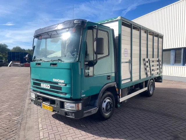 Iveco EuroCargo 65 BLADVERING / HANDGESCHAKELDE - Φορτηγό μεταφορά ζώων: φωτογραφία 3 Iveco EuroCargo 65 BLADVERING / HANDGESCHAKELDE - Φορτηγό μεταφορά ζώων: φωτογραφία 3