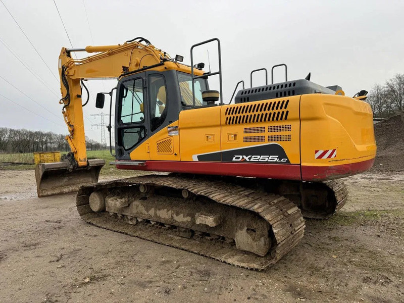 Doosan DX255LC-5 2015 10800 hr STRAIGHT FROM WORK ! DUTCH MACHINE ! - Ερπυστριοφόρος εκσκαφέας: φωτογραφία 2 Doosan DX255LC-5 2015 10800 hr STRAIGHT FROM WORK ! DUTCH MACHINE ! - Ερπυστριοφόρος εκσκαφέας: φωτογραφία 2