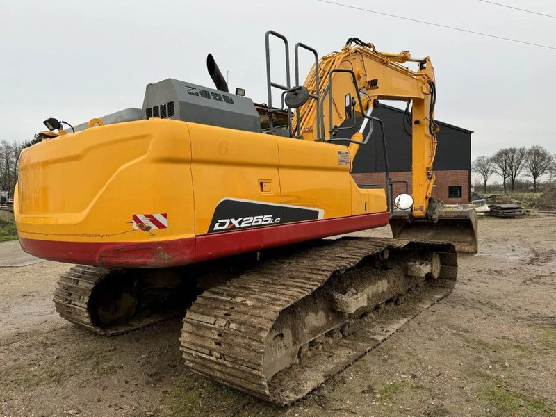 Doosan DX255LC-5 2015 10800 hr STRAIGHT FROM WORK ! DUTCH MACHINE ! - Ερπυστριοφόρος εκσκαφέας: φωτογραφία 4 Doosan DX255LC-5 2015 10800 hr STRAIGHT FROM WORK ! DUTCH MACHINE ! - Ερπυστριοφόρος εκσκαφέας: φωτογραφία 4