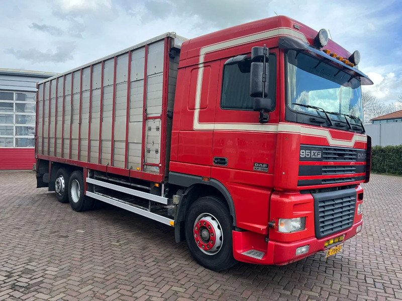 DAF XF FAR 95XF.380 EURO 2 - Φορτηγό μεταφορά ζώων: φωτογραφία 3 DAF XF FAR 95XF.380 EURO 2 - Φορτηγό μεταφορά ζώων: φωτογραφία 3