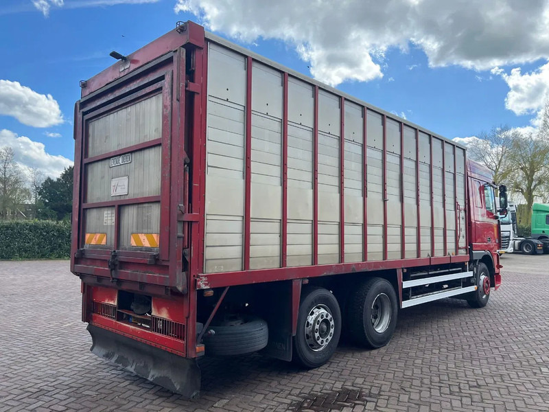 DAF XF FAR 95XF.380 EURO 2 - Φορτηγό μεταφορά ζώων: φωτογραφία 4 DAF XF FAR 95XF.380 EURO 2 - Φορτηγό μεταφορά ζώων: φωτογραφία 4