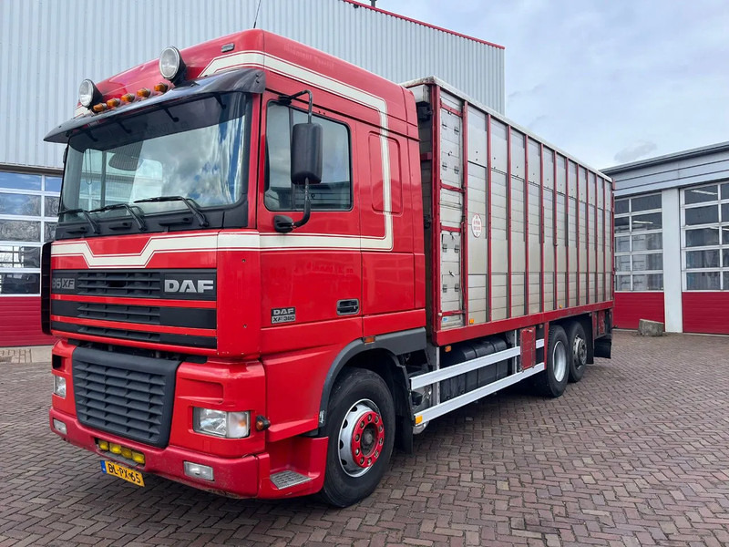 DAF XF FAR 95XF.380 EURO 2 - Φορτηγό μεταφορά ζώων: φωτογραφία 1 DAF XF FAR 95XF.380 EURO 2 - Φορτηγό μεταφορά ζώων: φωτογραφία 1