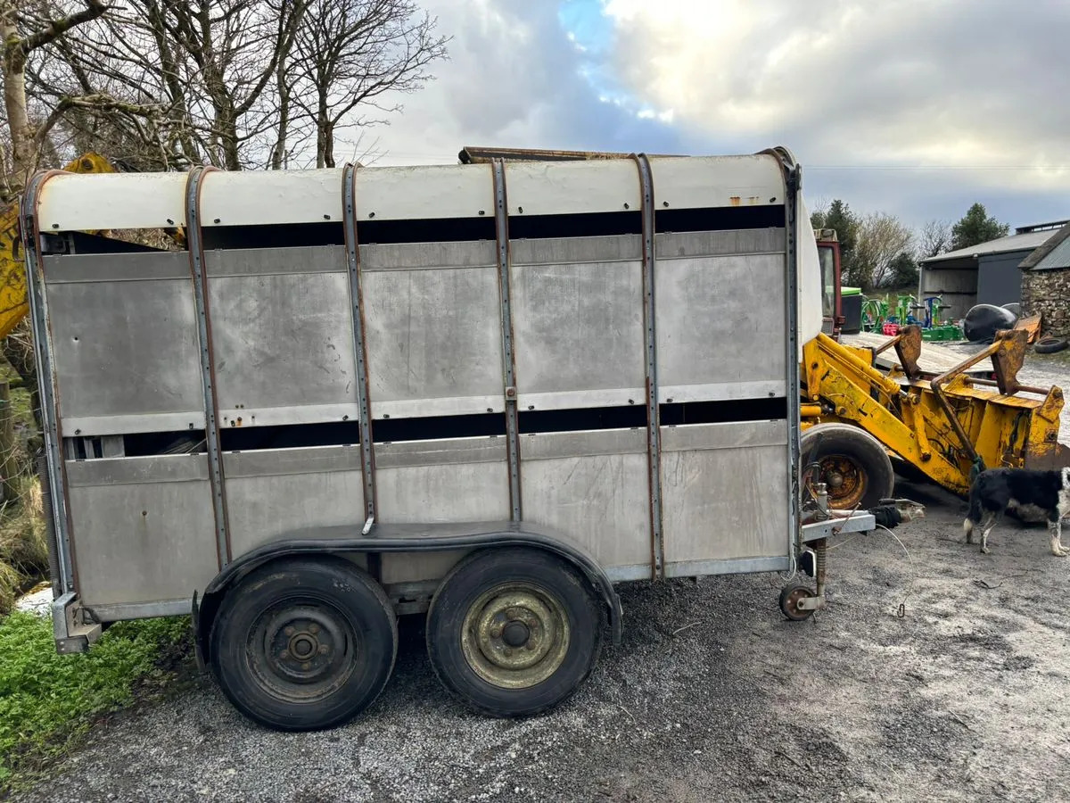 10X6 Ivor Williams - Ρυμούλκα μεταφορά ζώων: φωτογραφία 2 10X6 Ivor Williams - Ρυμούλκα μεταφορά ζώων: φωτογραφία 2