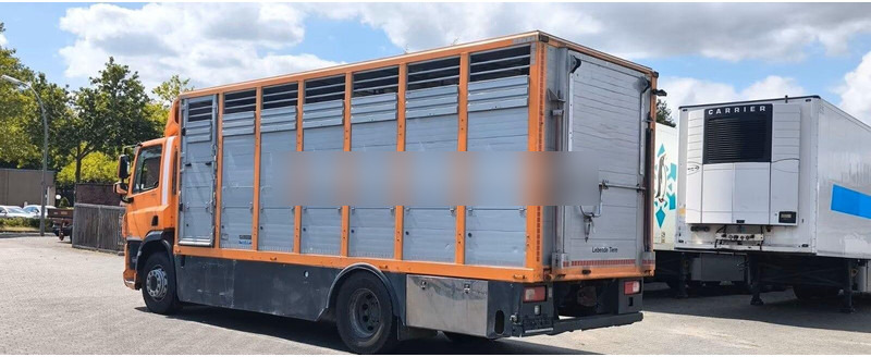 DAF CF 400 - Animal transporter - Φορτηγό μεταφορά ζώων: φωτογραφία 5 DAF CF 400 - Animal transporter - Φορτηγό μεταφορά ζώων: φωτογραφία 5