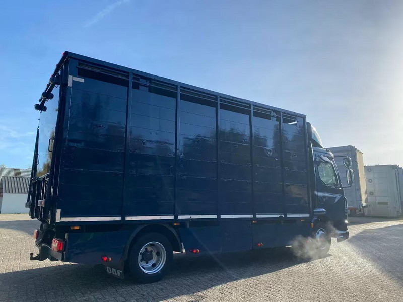 DAF LF 280 - Φορτηγό μεταφορά ζώων: φωτογραφία 3 DAF LF 280 - Φορτηγό μεταφορά ζώων: φωτογραφία 3