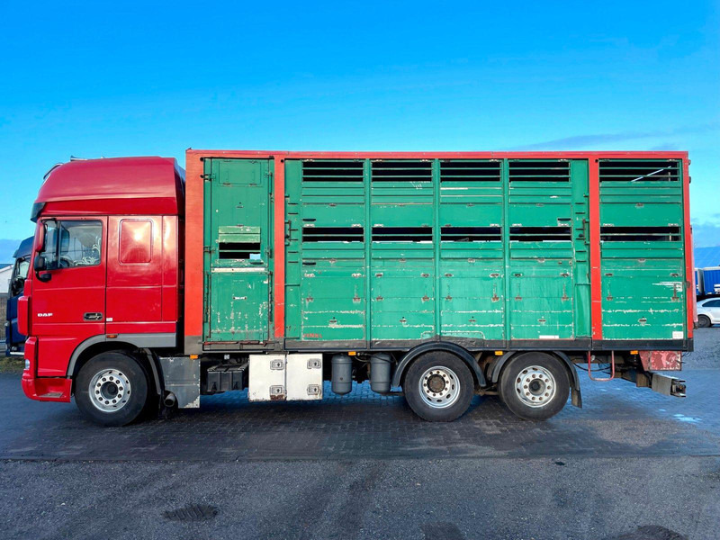 DAF XF 105.460 2-Stock Finkl Viehaufbau / Lenkachs - Φορτηγό μεταφορά ζώων: φωτογραφία 5 DAF XF 105.460 2-Stock Finkl Viehaufbau / Lenkachs - Φορτηγό μεταφορά ζώων: φωτογραφία 5