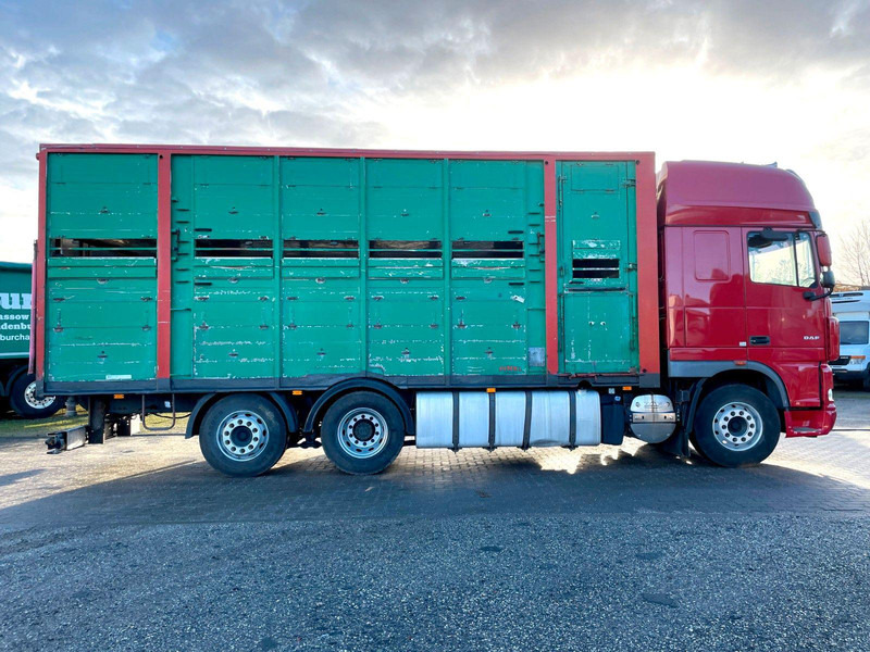 DAF XF 105.460 2-Stock Finkl Viehaufbau / Lenkachs - Φορτηγό μεταφορά ζώων: φωτογραφία 4 DAF XF 105.460 2-Stock Finkl Viehaufbau / Lenkachs - Φορτηγό μεταφορά ζώων: φωτογραφία 4