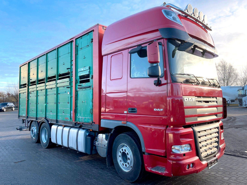 DAF XF 105.460 2-Stock Finkl Viehaufbau / Lenkachs - Φορτηγό μεταφορά ζώων: φωτογραφία 1 DAF XF 105.460 2-Stock Finkl Viehaufbau / Lenkachs - Φορτηγό μεταφορά ζώων: φωτογραφία 1