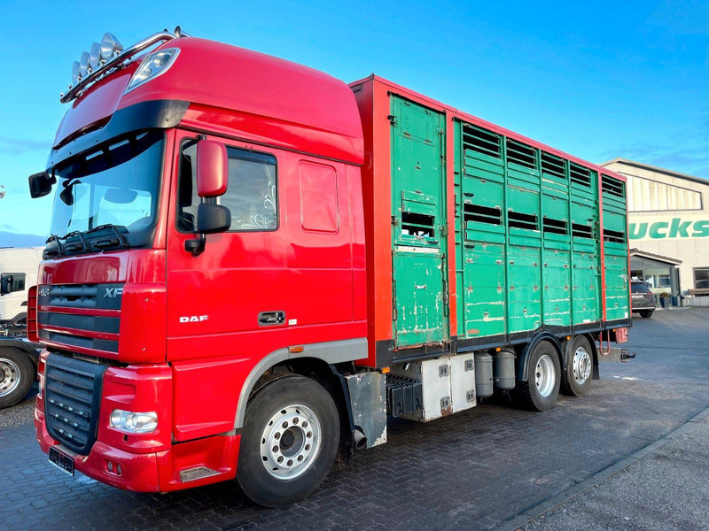 DAF XF 105.460 2-Stock Finkl Viehaufbau / Lenkachs - Φορτηγό μεταφορά ζώων: φωτογραφία 2 DAF XF 105.460 2-Stock Finkl Viehaufbau / Lenkachs - Φορτηγό μεταφορά ζώων: φωτογραφία 2