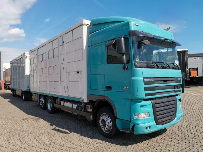 DAF XF 105.460 - Animal transporter + trailer - Φορτηγό μεταφορά ζώων: φωτογραφία 2 DAF XF 105.460 - Animal transporter + trailer - Φορτηγό μεταφορά ζώων: φωτογραφία 2