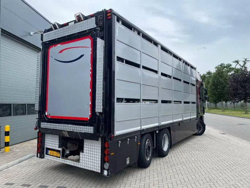 DAF XF 460 - Animal transporter - Φορτηγό μεταφορά ζώων: φωτογραφία 5 DAF XF 460 - Animal transporter - Φορτηγό μεταφορά ζώων: φωτογραφία 5