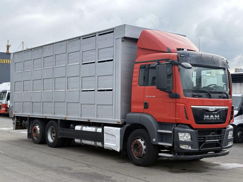 MAN TGS 26.440 - Animal transporter - Φορτηγό μεταφορά ζώων: φωτογραφία 2 MAN TGS 26.440 - Animal transporter - Φορτηγό μεταφορά ζώων: φωτογραφία 2