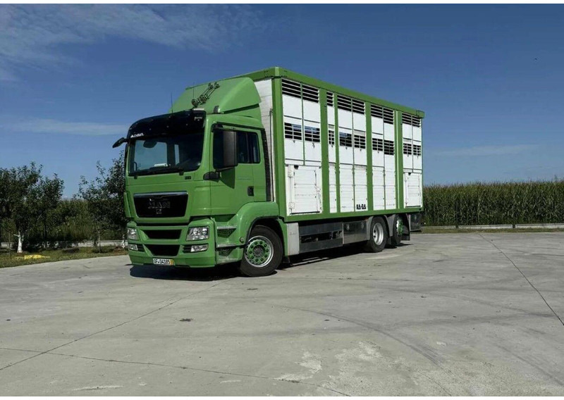 MAN TGS 26.440 Livestock Transporter - Three Deck - Φορτηγό μεταφορά ζώων: φωτογραφία 1 MAN TGS 26.440 Livestock Transporter - Three Deck - Φορτηγό μεταφορά ζώων: φωτογραφία 1