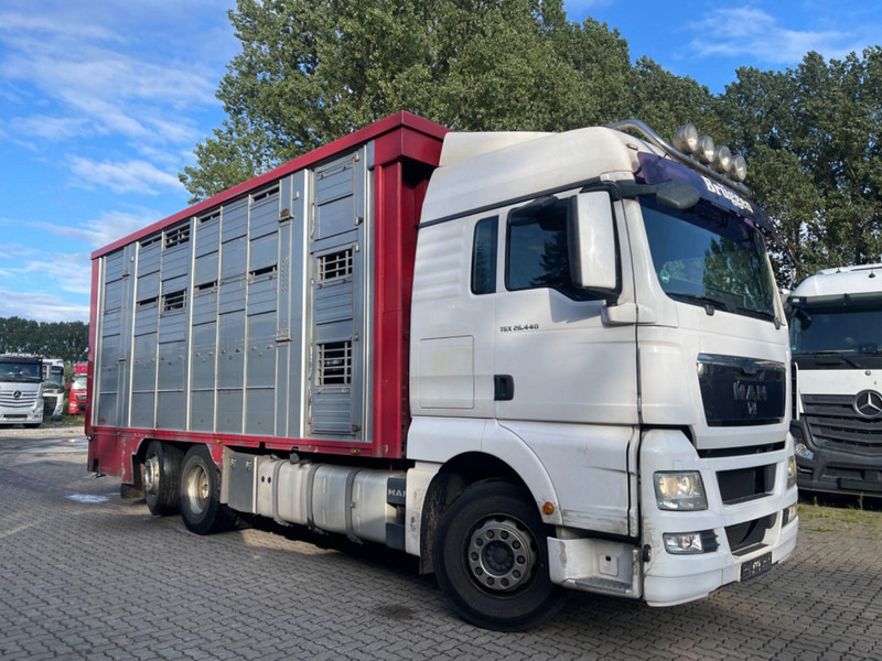 MAN TGX 26.400 6x2-2 LL 3 Stück Finkl Hubdach - Φορτηγό μεταφορά ζώων: φωτογραφία 1 MAN TGX 26.400 6x2-2 LL 3 Stück Finkl Hubdach - Φορτηγό μεταφορά ζώων: φωτογραφία 1