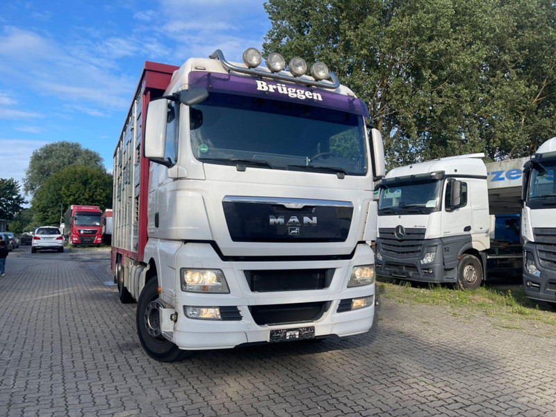 MAN TGX 26.400 6x2-2 LL 3 Stück Finkl Hubdach - Φορτηγό μεταφορά ζώων: φωτογραφία 4 MAN TGX 26.400 6x2-2 LL 3 Stück Finkl Hubdach - Φορτηγό μεταφορά ζώων: φωτογραφία 4