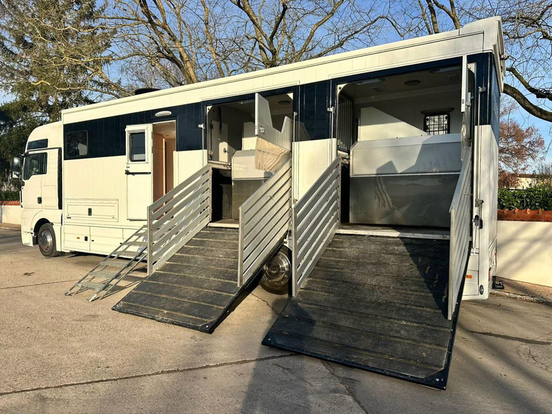 MAN TGX 26.440 - Horse transporter - Φορτηγό μεταφοράς αλόγων: φωτογραφία 5 MAN TGX 26.440 - Horse transporter - Φορτηγό μεταφοράς αλόγων: φωτογραφία 5