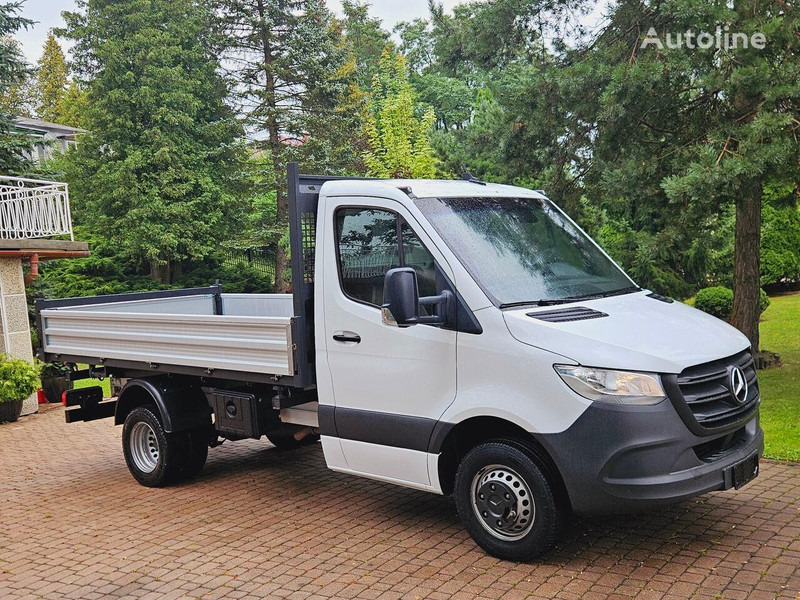 Mercedes-Benz Sprinter 51 9 CDI 3 way tipper - Όχημα με ανατρεπομενη καροτσα: φωτογραφία 3 Mercedes-Benz Sprinter 51 9 CDI 3 way tipper - Όχημα με ανατρεπομενη καροτσα: φωτογραφία 3