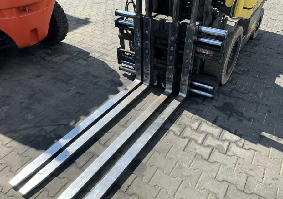 Bolzoni DS13FS - Πιρούνες: φωτογραφία 1 Bolzoni DS13FS - Πιρούνες: φωτογραφία 1