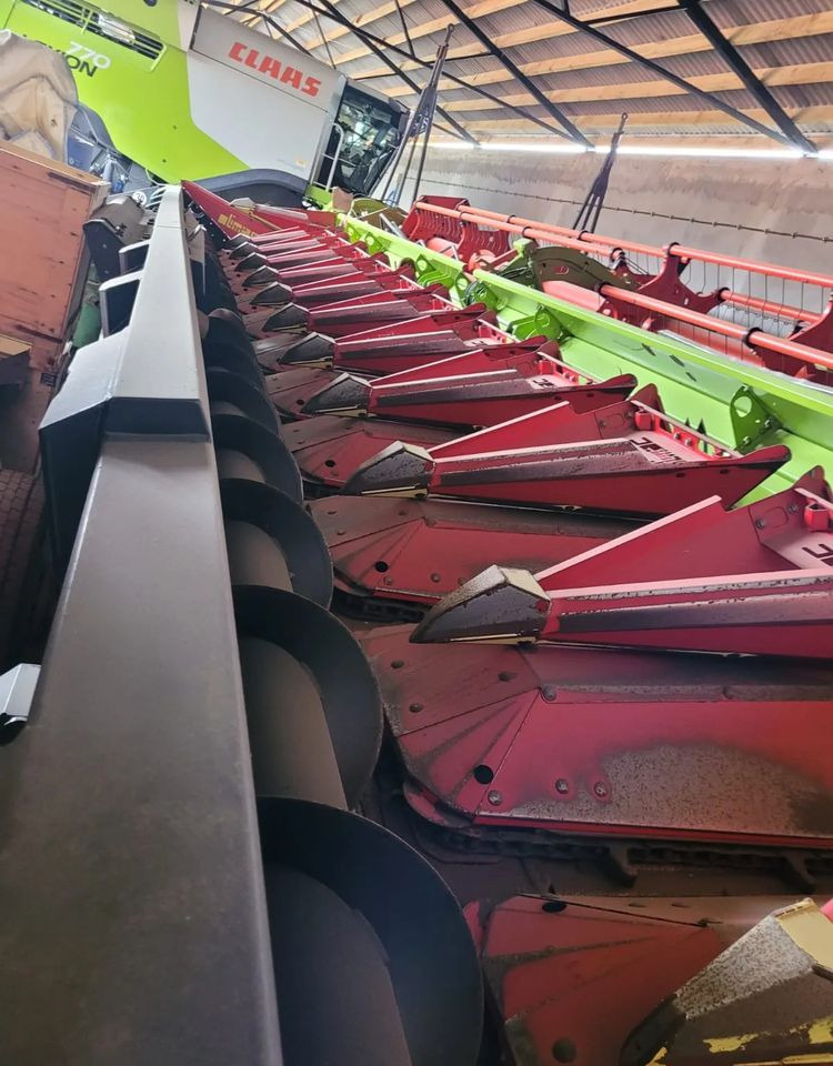 Olimac Drago II - Καλαμποκομαχαιρο: φωτογραφία 2 Olimac Drago II - Καλαμποκομαχαιρο: φωτογραφία 2