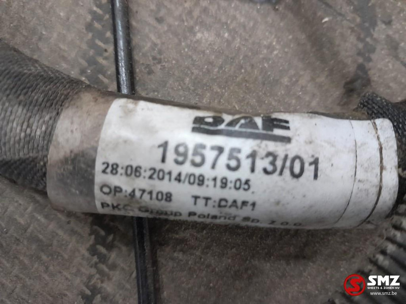 DAF Occ hoofdchassiskabelboom DAF - Καλώδιο/ Σύρματα για Φορτηγό: φωτογραφία 3 DAF Occ hoofdchassiskabelboom DAF - Καλώδιο/ Σύρματα για Φορτηγό: φωτογραφία 3