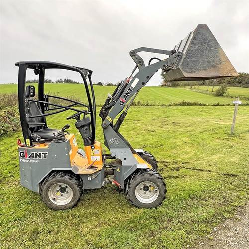 Φορτωτής πλάγιας ολίσθησης Giant D254SW: φωτογραφία 9 Φορτωτής πλάγιας ολίσθησης Giant D254SW: φωτογραφία 9